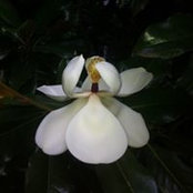 Cori Rife's photo