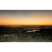 Claire Wallaces foto