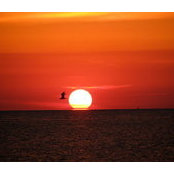 Min Xu's photo