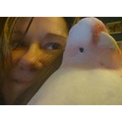 Michelle Noyce's photo