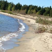 Wendy Halk's photo
