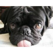Denise Bilyeu's photo