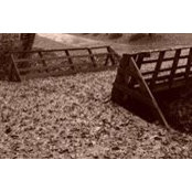 Marcie Brackenbury's photo