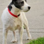 Barry Ward's photo
