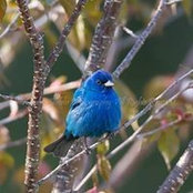 Debby Stubbs's photo