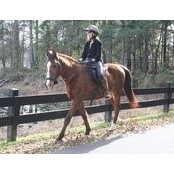 Catherine Welbon's photo