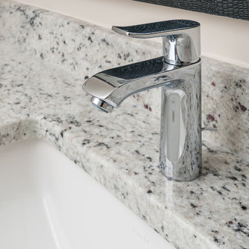 Master Bathroom Renovation