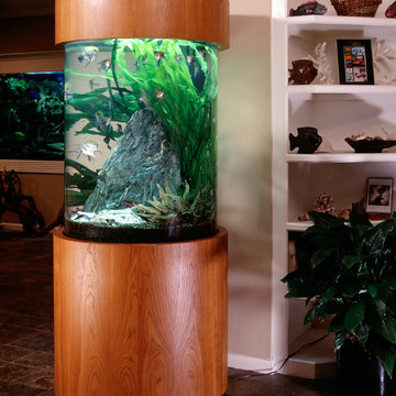 Cylinder Aquarium with Live Aquatic Plants