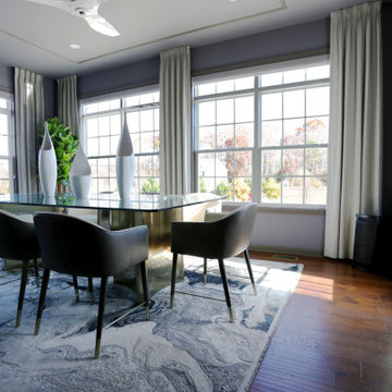 Main Level Contemporary