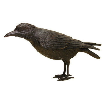 Black Raven, A