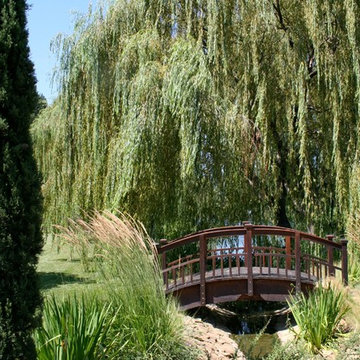 Black Swan Lake, Napa Valley