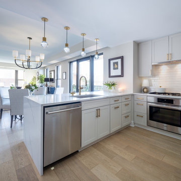 Condo Kitchen Renovation