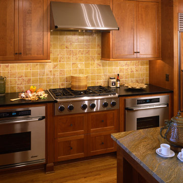 Complete Minneapolis Transitional Renovation