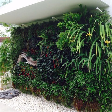 Vertical Gardens