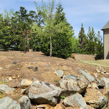 Backyard Transformation with Drainage, Irrigation & Future-Ready Design