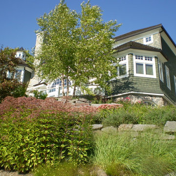 Hillside