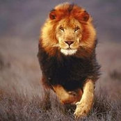Moustafa Hashems foto
