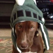 Mark Lonier's photo