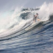 Matt Wilson's photo