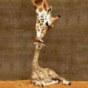 Tracy Smith's photo