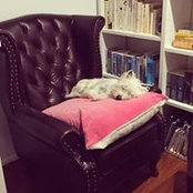 Corinne Richardson's photo