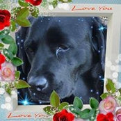 Linda Potempa's photo