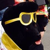 Jeff Schreibman's photo