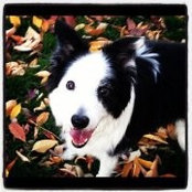 Alison McGrath Frusciano's photo