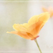 Charyl W's photo