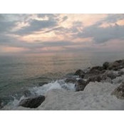Suzie Flowers's photo