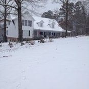 Lisa Armstrong's photo