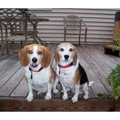 Ned Benson's photo