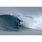Robb Havassy's photo