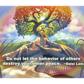 Katherine Tomer's photo