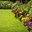 Turfs Up Landscaping