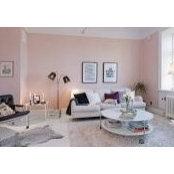Nelly's photo