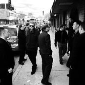 Zig O'Reilly's photo