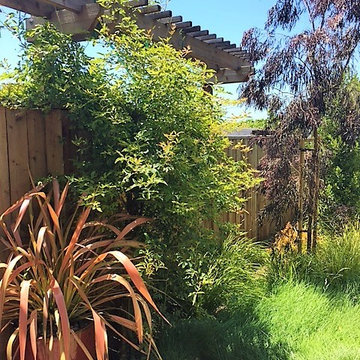 Narrow trellis