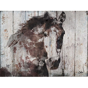 Rustic Reclaimed Wood Horse Wall Art Farmhouse Paintings By My Wild Gorgeous Horse Canvas Print By Irena Orlov