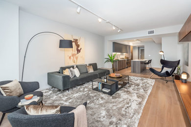 Photo of a contemporary living room in San Francisco with white walls.