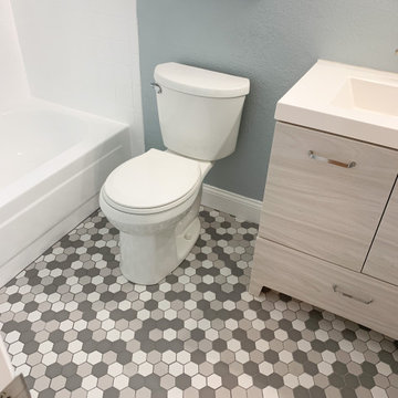 Lithia Full-Home Renovation