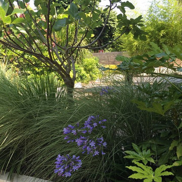 jardin de ville