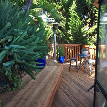 Zen And Green Spaces