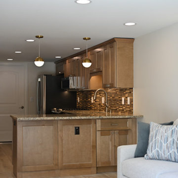 Basement Transformation