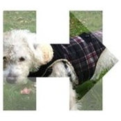 Sam Johnson's photo