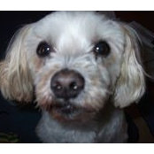 Donna Bell's photo