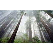 Nathan Salmon's photo