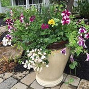 Jo Ann Padgett's photo