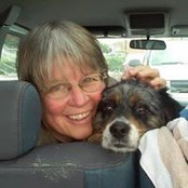 Foto von Sue Brown