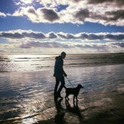 Jeffrey Nelsen's photo
